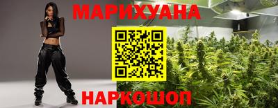 шишки Абинск