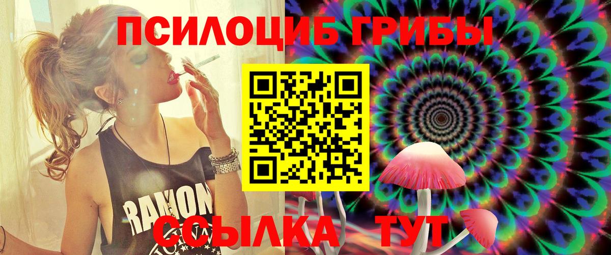 Псилоцибиновые грибы MAGIC MUSHROOMS Апатиты