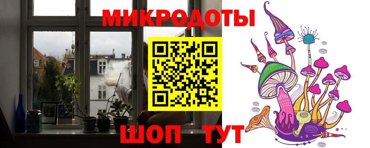 Псилоцибиновые грибы Cubensis  Вход с VPN  Апатиты 